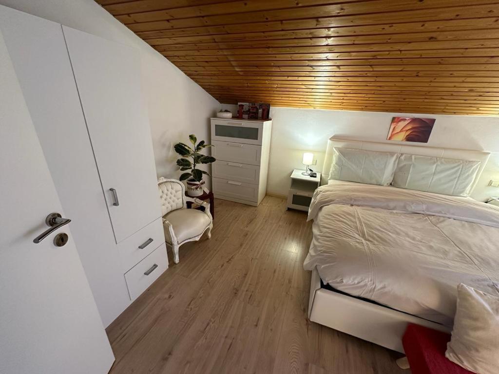 شقة Plose Panorama House بريسّانوني المظهر الخارجي الصورة