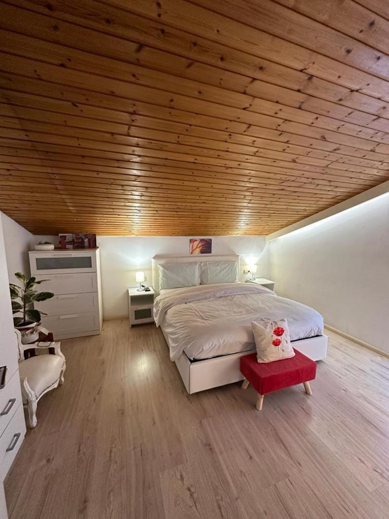 شقة Plose Panorama House بريسّانوني المظهر الخارجي الصورة